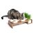 CanadianCat Futterstation mit Schale für Katzengras Walnuss, Schalen mit Katzenohren