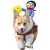 Moorle Hundekostüm Haustier-Kostüm für Reiter, Cowboy-Reiter, Reiten