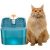 Kupaloft Trinkbrunnen 2 l, Hund LED Trinkautomat, Katzen Wasserspender leise