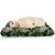 Abakuhaus Hundematratze beissfestes Kissen für Hunde und Katzen mit abnehmbaren Bezug, Tierwelt Wilde Leoparden Palmblätter